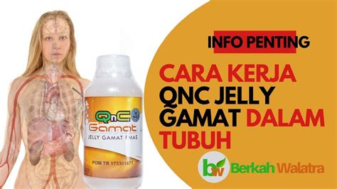 Manfaat dari QnC Jelly Gamat